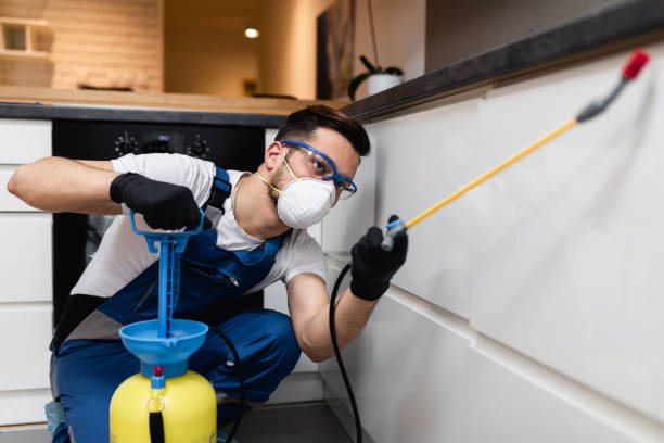 Best Emergency Pest Control  in Lumber City, GA