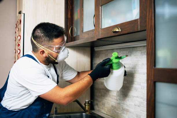 Best Pest Prevention Services  in Lumber City, GA