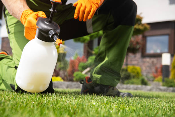 Best Bed Bug Extermination  in Lumber City, GA