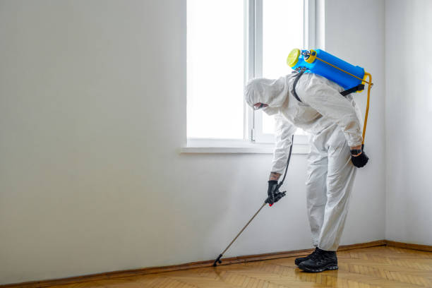 Best Commercial Pest Control Services  in Lumber City, GA
