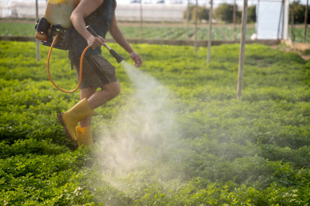 Best Affordable Pest Control Services  in Lumber City, GA