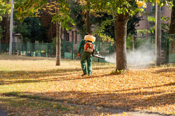 Best Wasp Removal Services  in Lumber City, GA