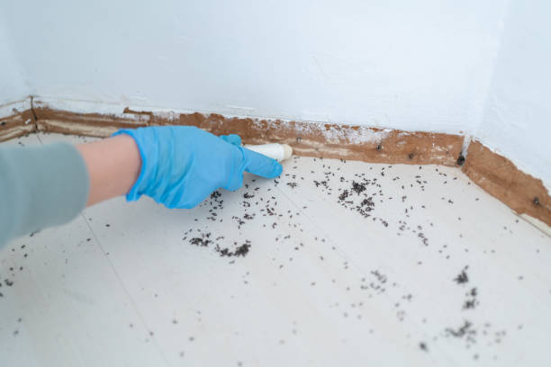 Best Residential Pest Control  in Lumber City, GA