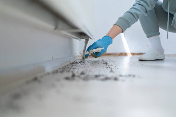 Best Best Pest Control Companies  in Lumber City, GA