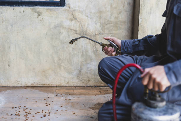 Best Commercial Pest Control Services  in Lumber City, GA